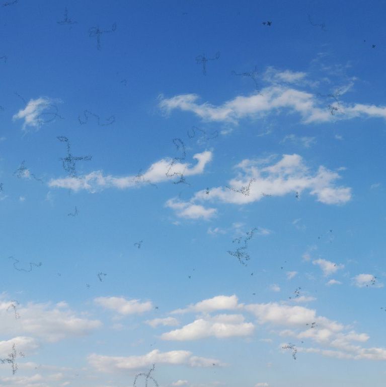Floaters are deposits of various size, shape, consistency, refractive index, and motility within the eye's vitreous humour. The perception of floaters is known as myodesopsia.